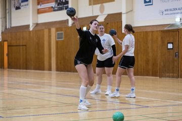 Bild 126 - F TSV Ellerau - HSG Tills Loewen 08 : Ergebnis: 16:18
